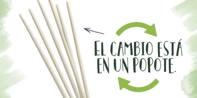 Mexicanos crean popotes biodegradables con semillas de aguacate