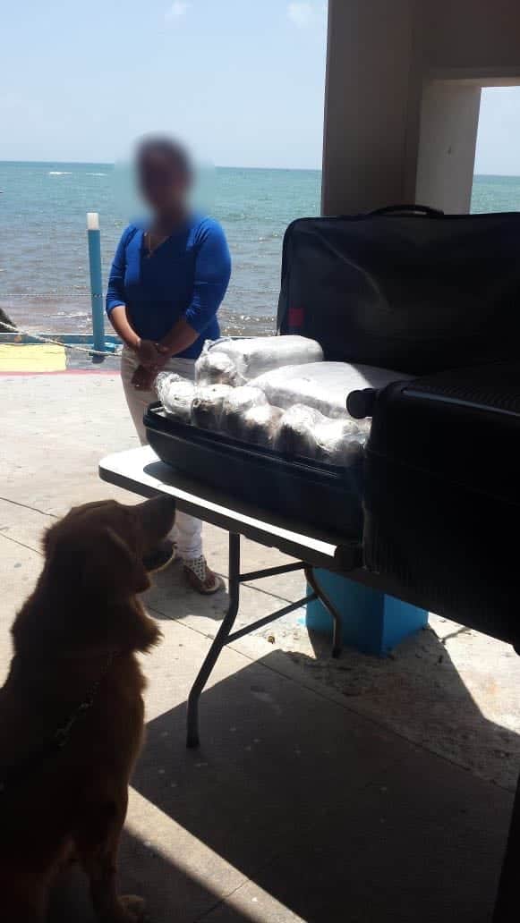 Aseguran 43 kilogramos de marihuana en Playa del Carmen