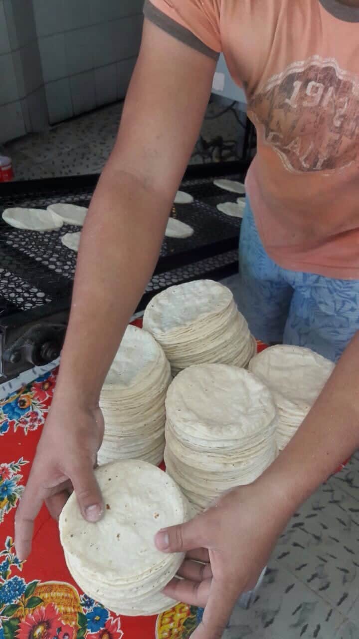 Anuncian nuevo incremento al precio de la tortilla en Cozumel