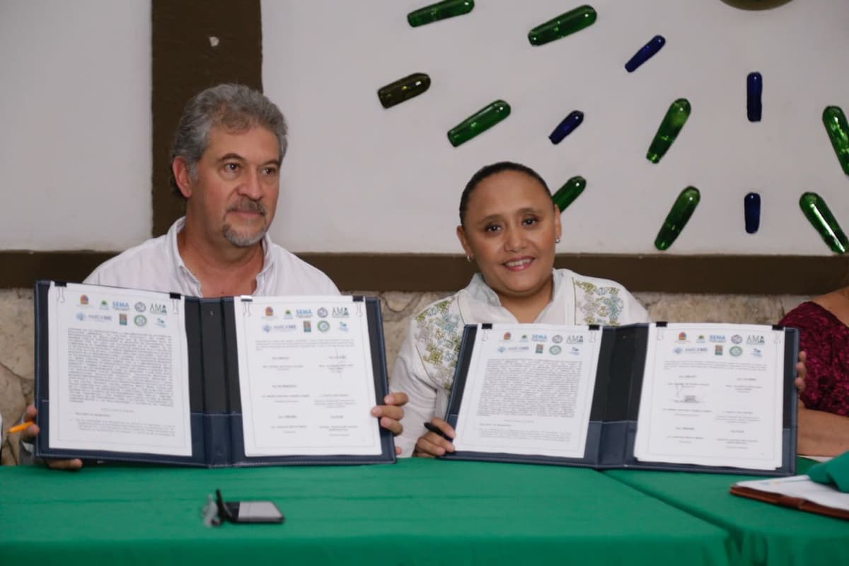 Suman esfuerzos gobierno y asociaciones de Solidaridad para proteger árboles urbanos