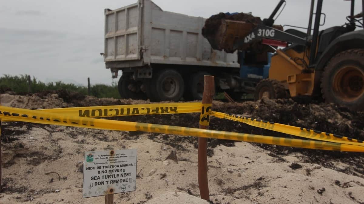 Clausuran centro de acopio de sargazo en Tulum
