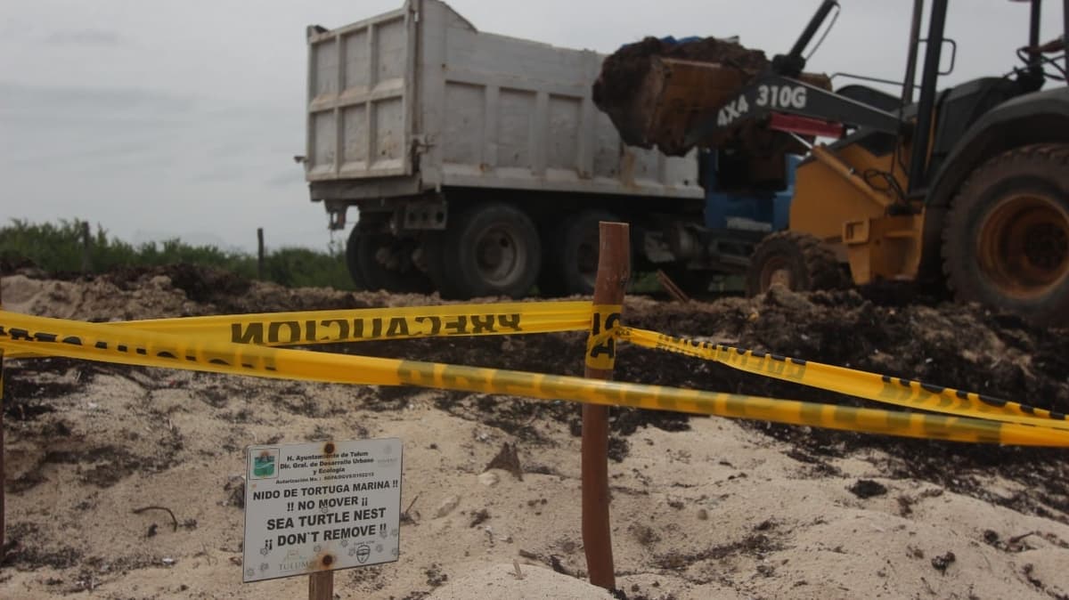 Clausuran centro de acopio de sargazo en Tulum
