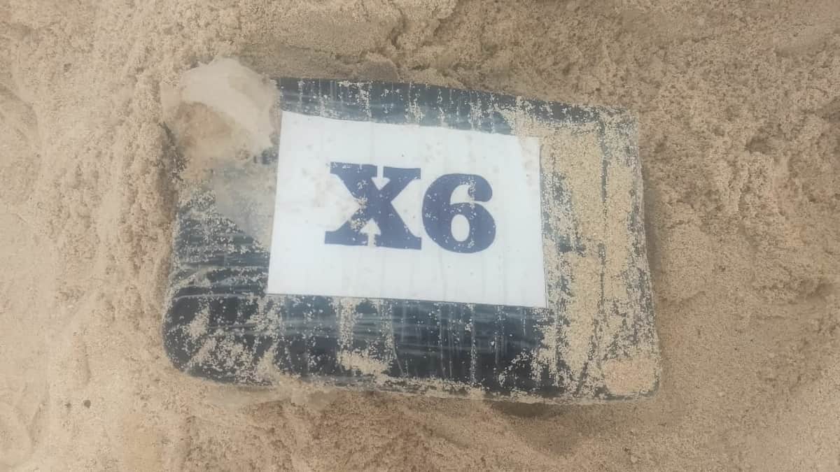 Hallazgo de cocaína moviliza a Policía y Ejército