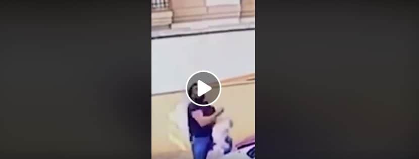 (Video) Joven salva a perrita que cayó de un noveno piso