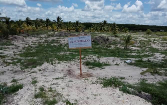 Profepa clausura obras en Progreso