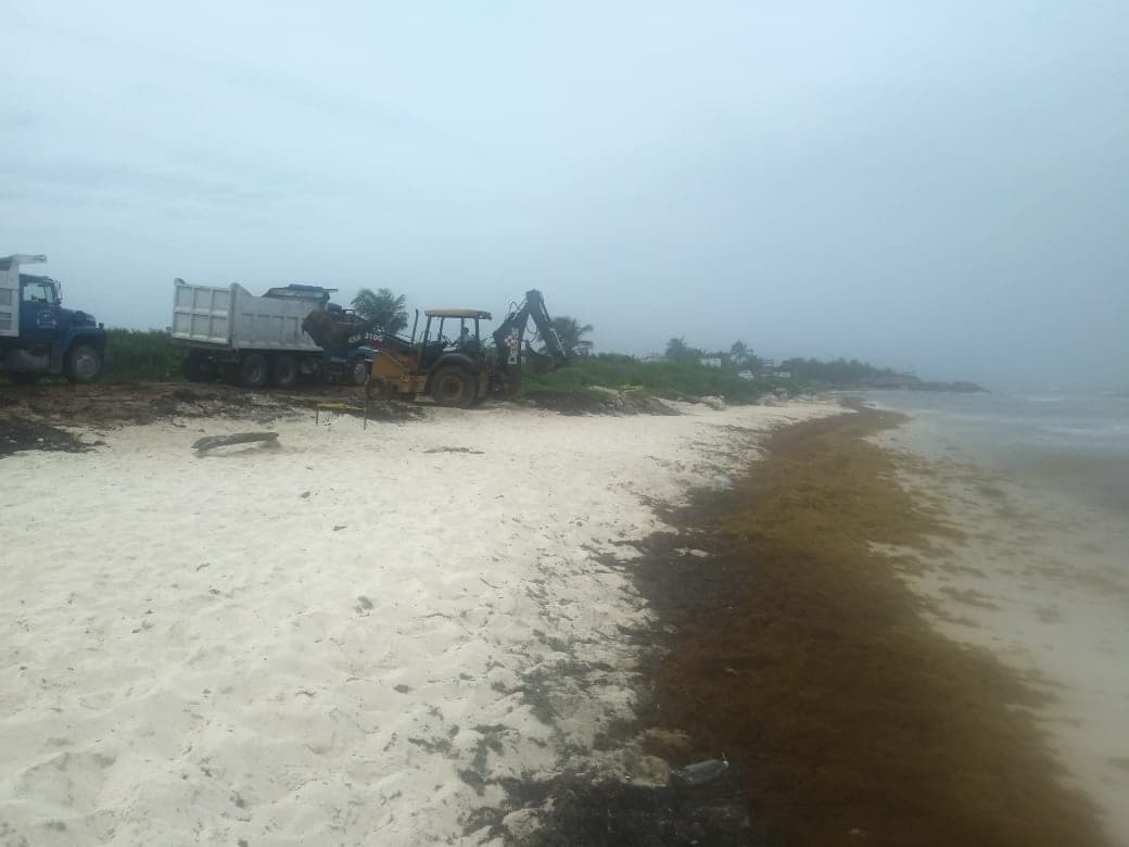 Limpian litoral de Tulum con maquinaria pesada