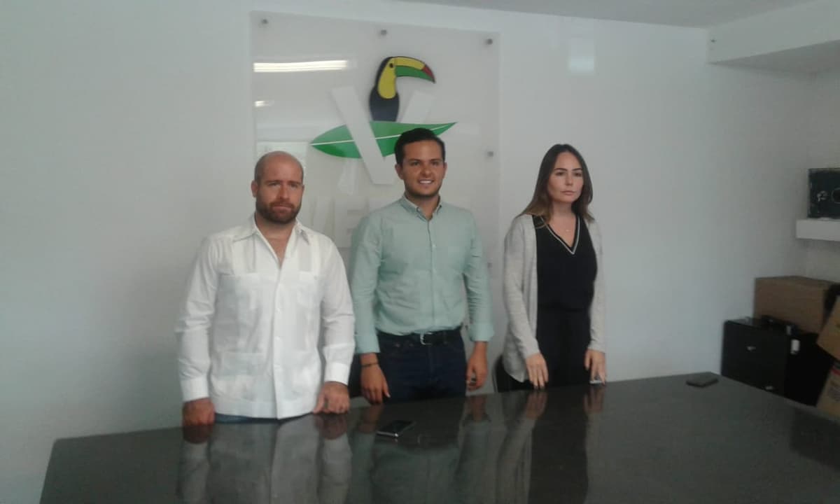 Reconocen verdes su derrota y analizarán si sigue alianza con el PRI