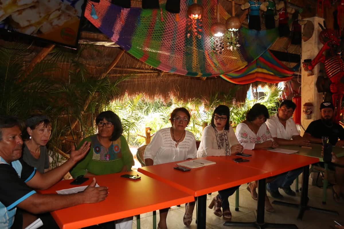 Barreras antisargazo son dañinas para ecosistema Marino: ambientalistas