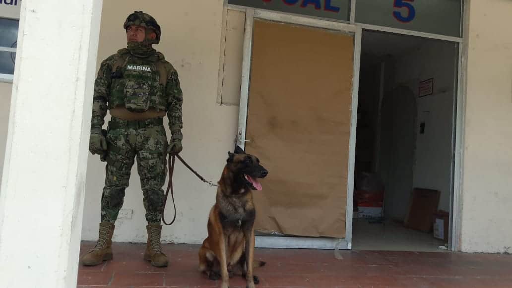 Autoridades de Cozumel se hacen "de la vista gorda" en el cruce de drogas