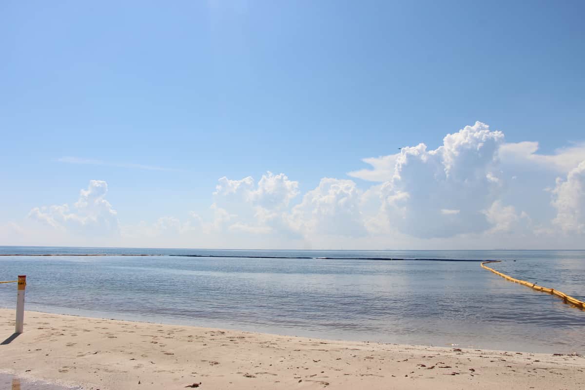 ONG revisará impacto ecológico de barreras antisargazo