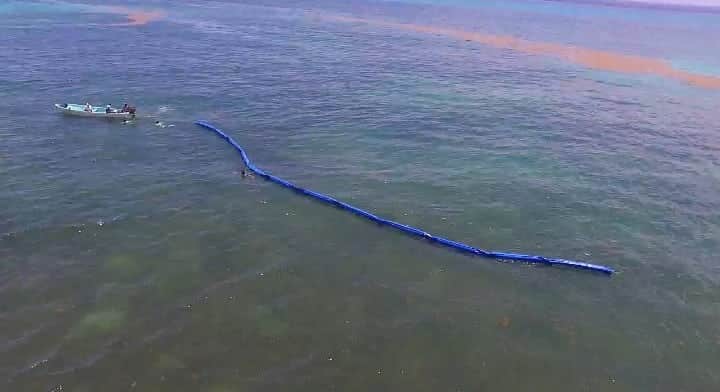 Arranca la instalación de la barrera antisargazo en Playa del Carmen