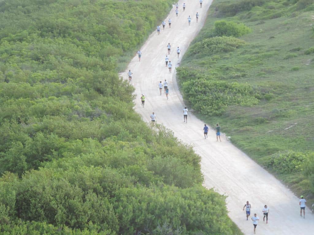Más de 150 personas corren por la preservación del charrán