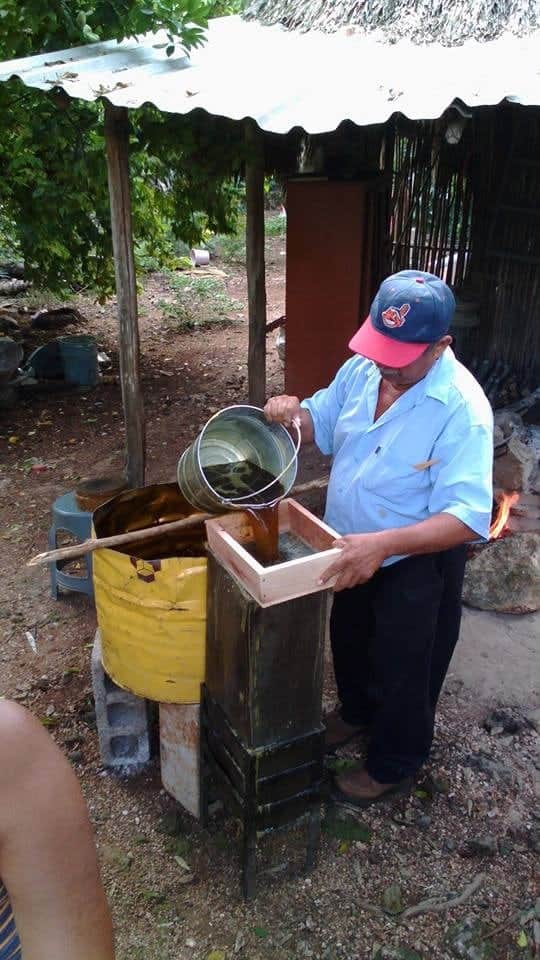 Clima favoreció a apicultores, aunque mantienen lucha contra transgénicos