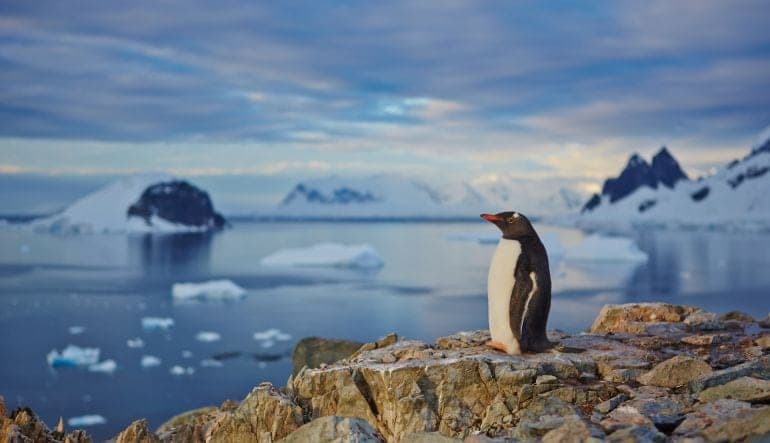 Cancún y Villahermosa podría desaparecer por derretimiento de glaciares