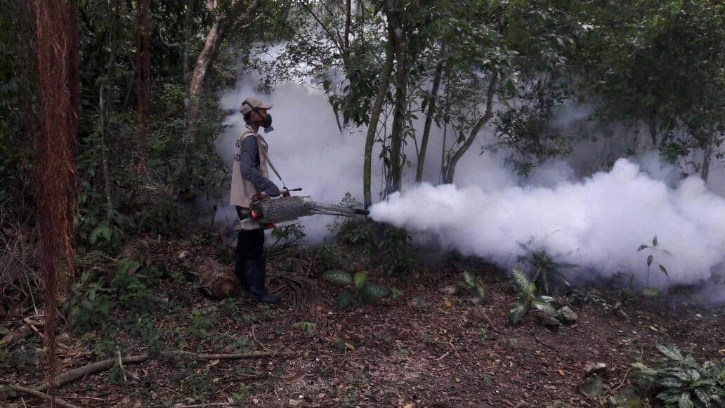 Lluvias en Cozumel han causado presencia masiva de moscos