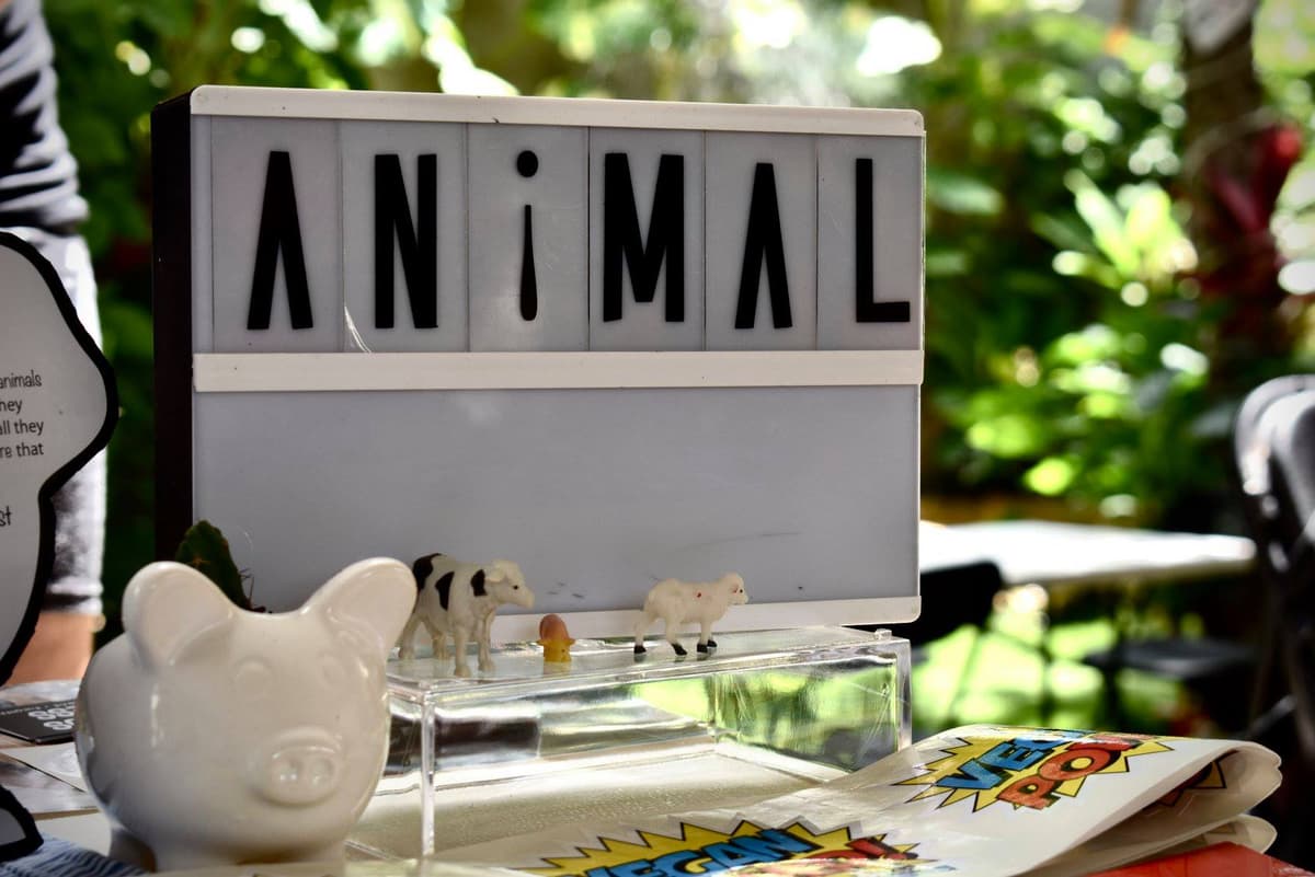 Oportunidad de Adopción de Perros