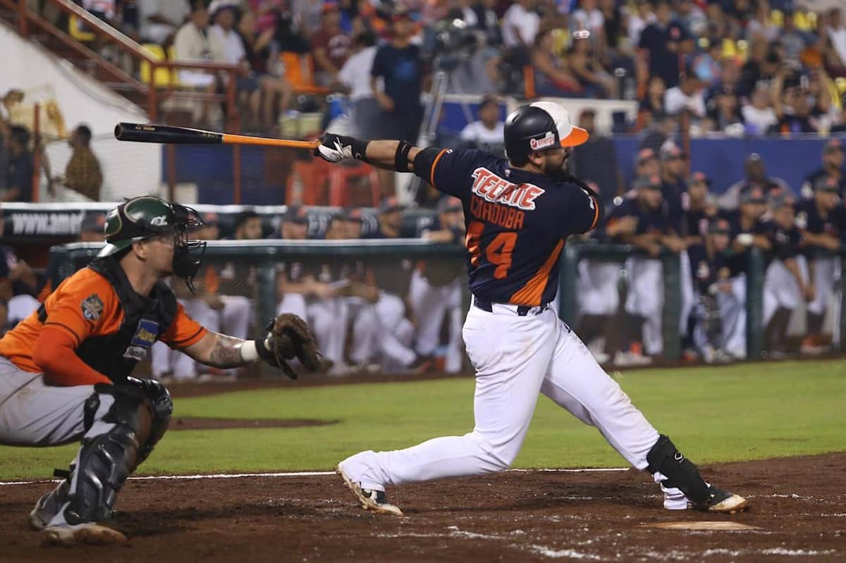 Analiza Tigres abandonar Quintana Roo