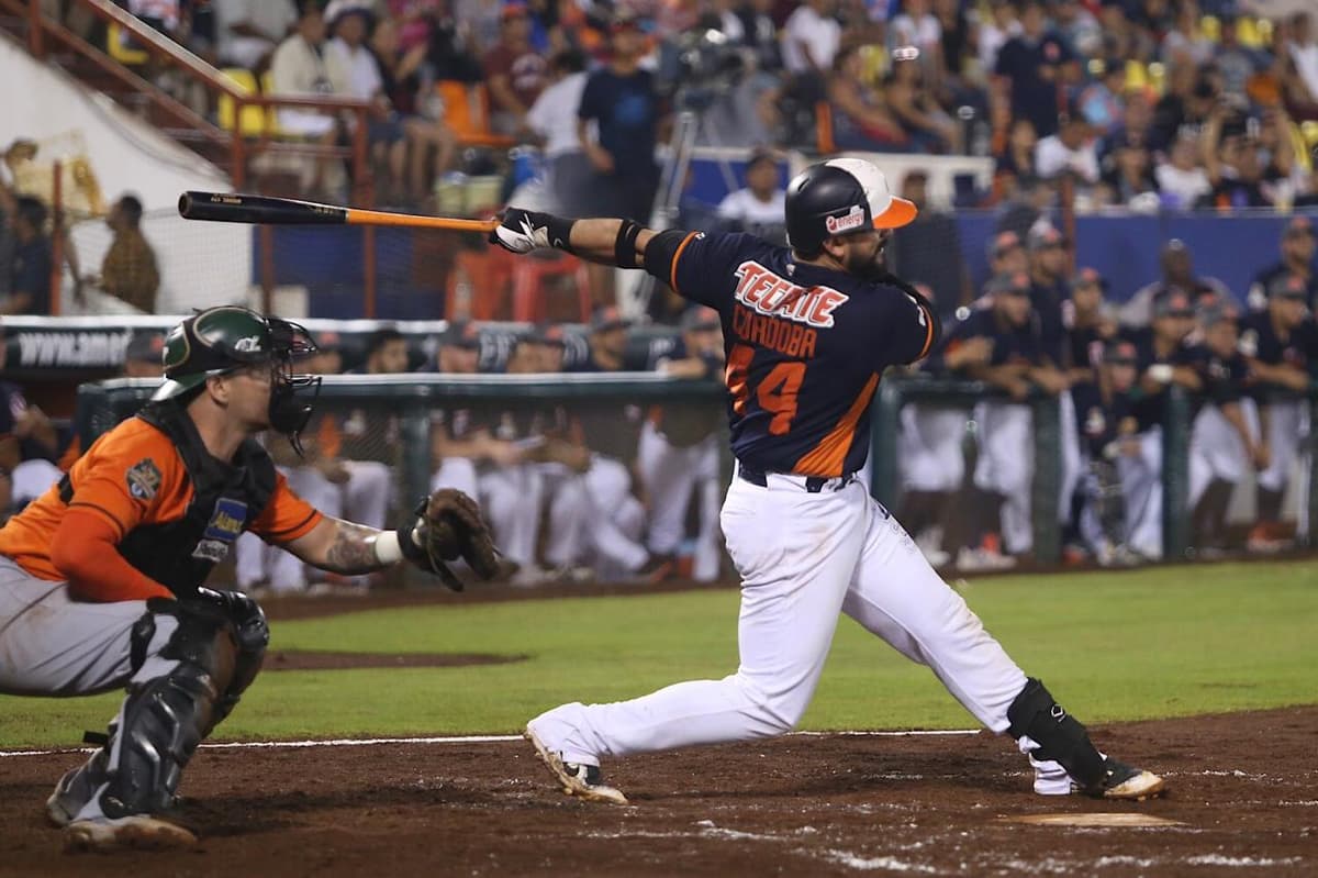 Analiza Tigres abandonar Quintana Roo