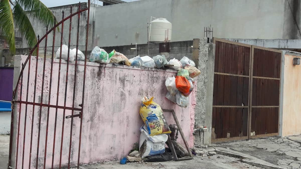 "Nadan"entre basura en Cozumel: no han pasado camiones recolectores