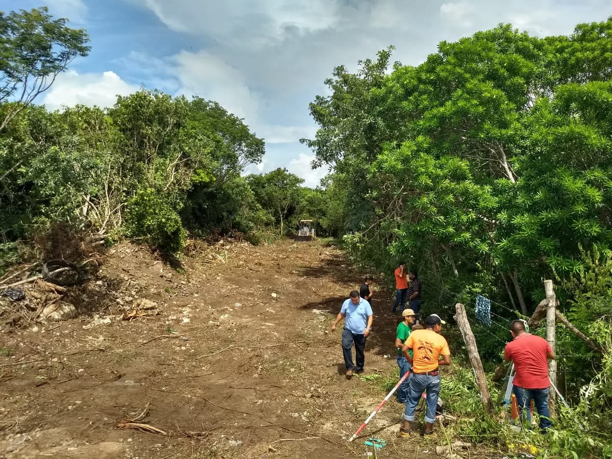 Destrozan árboles para perpetrar invasión en bioparque de Xpu Ha