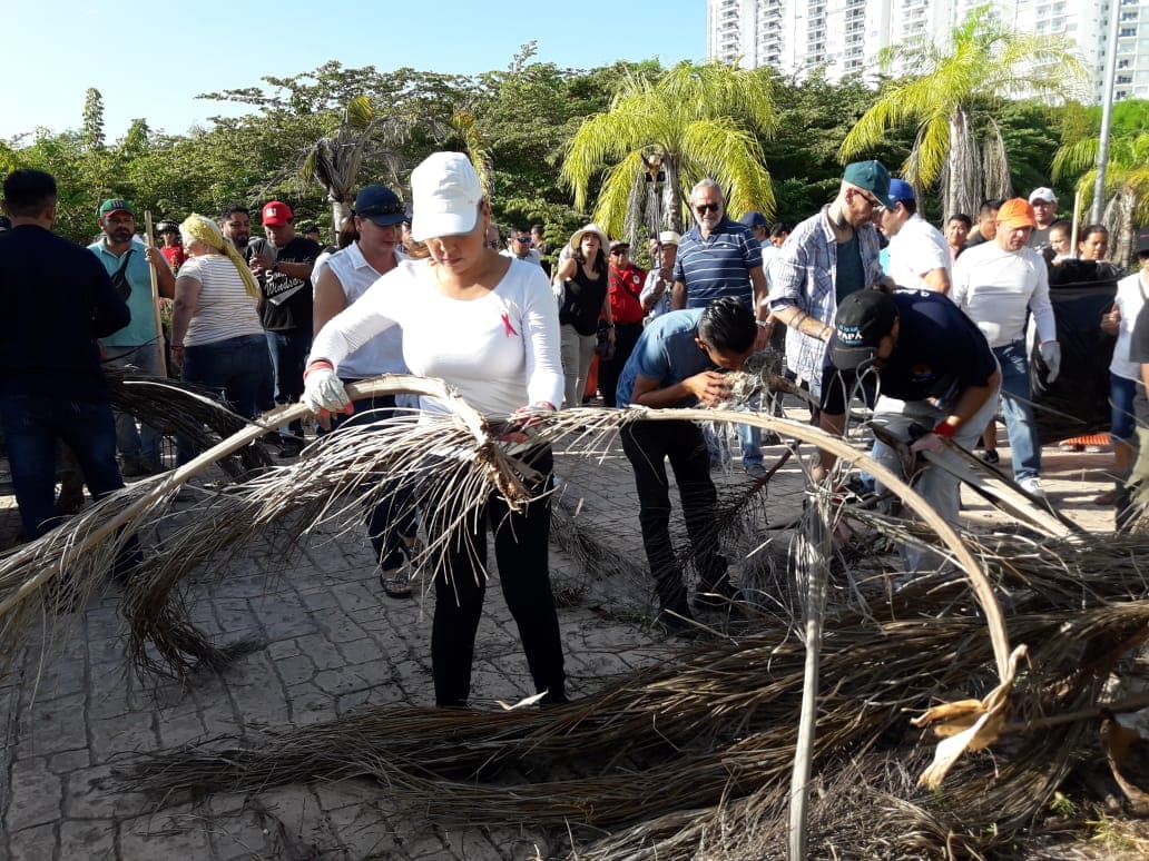 Hay que sumar voluntades: Mara Lezama