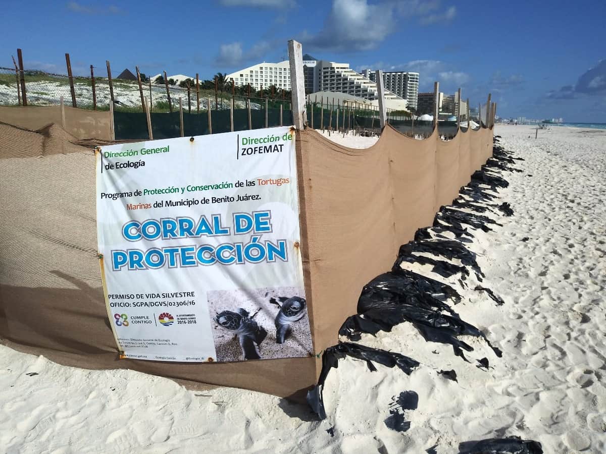 Procederán penalmente contra quienes autorizaron Gran Solaris