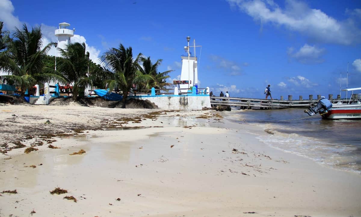 Gobierno de Puerto Morelos atiende últimos puntos de recale de sargazo