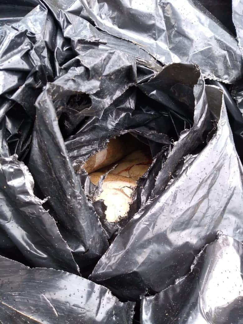 Hallan cuerpo embolsado en camino a relleno sanitario de Solidaridad