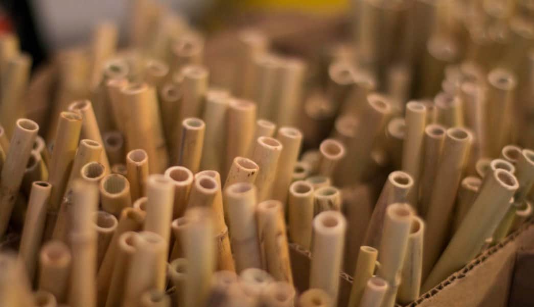 Popotes de carrizo, una opción que cuida al medio ambiente