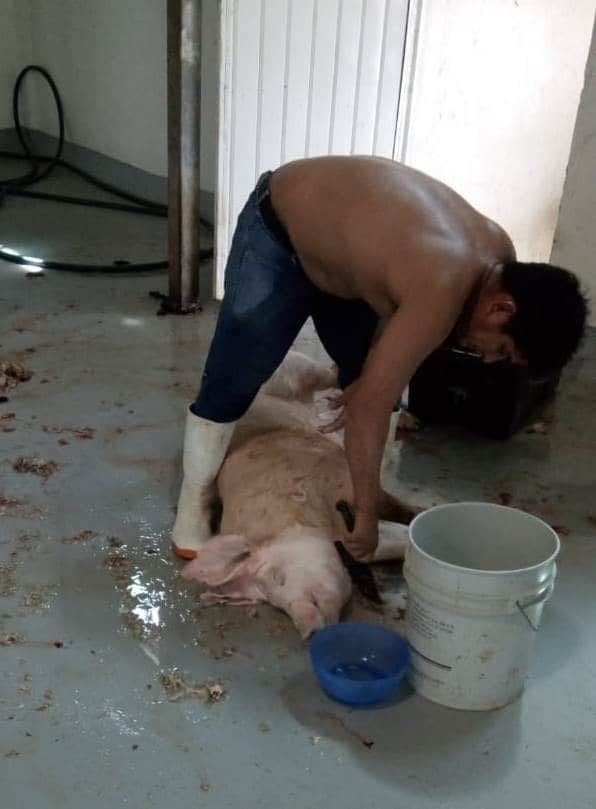 Rastro de Cozumel; un gran foco de infección