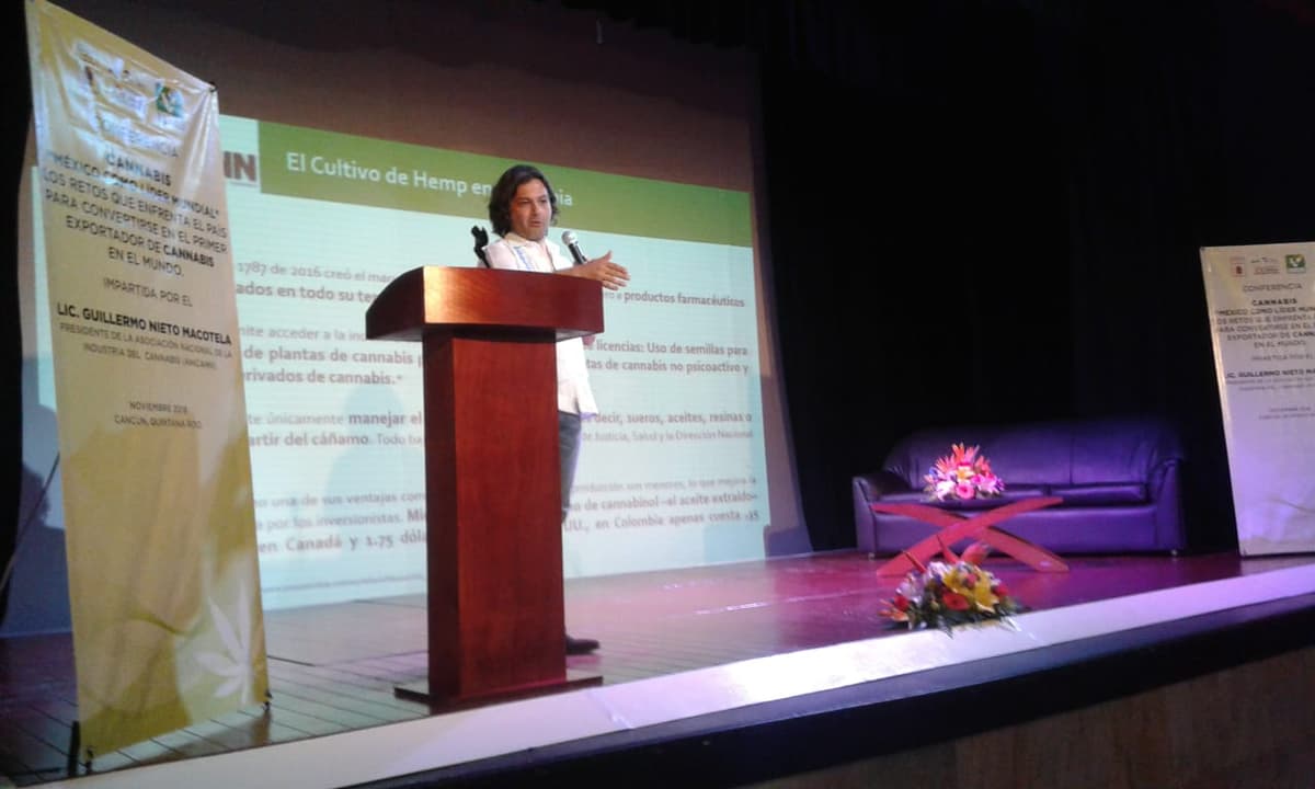A México le conviene legalizar la marihuana: ANICANN