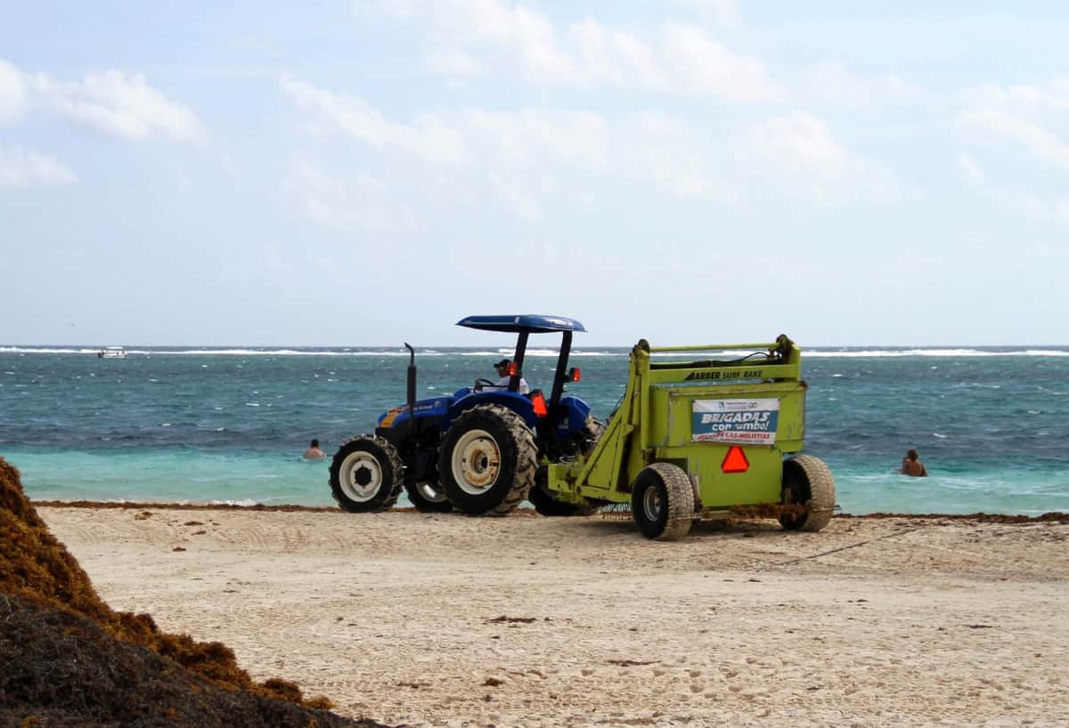 Intensifican las jornadas de limpieza de Playas en Puerto Morelos