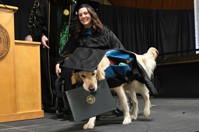 Perro recibe diploma de maestría junto a su dueña