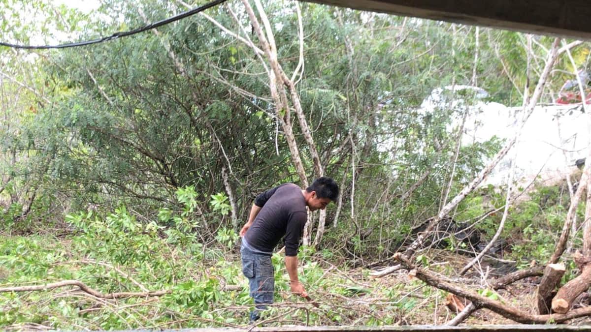 Logran devastar 20 metros de mangle antes de ser denunciados