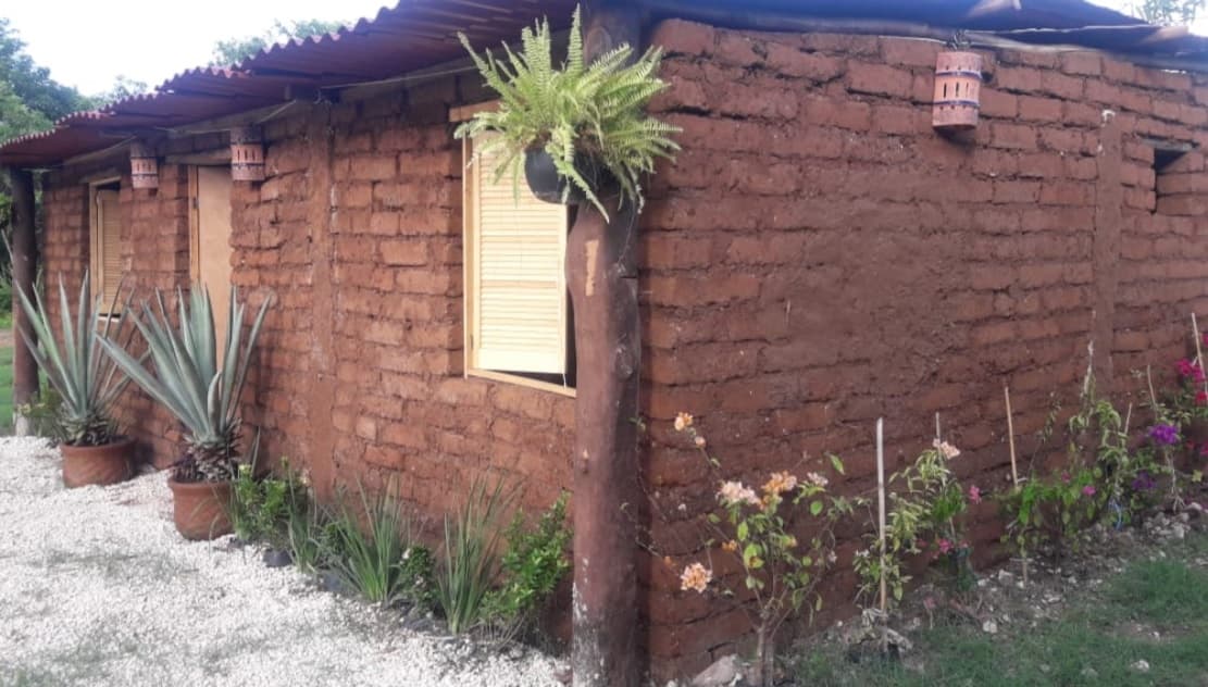 Construirán casas con blocks de sargazo en la Riviera Maya