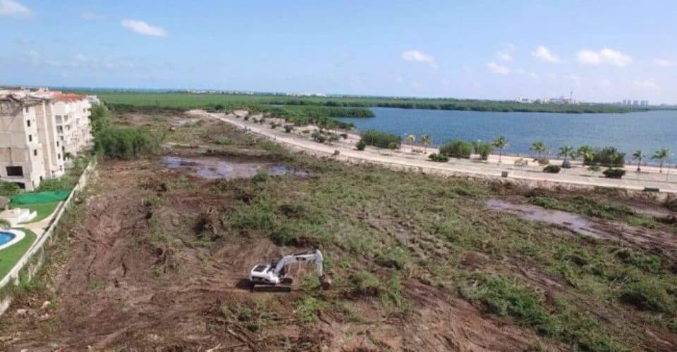 Malecón Tajamar: a tres años del ecocidio más grande de Quintana Roo