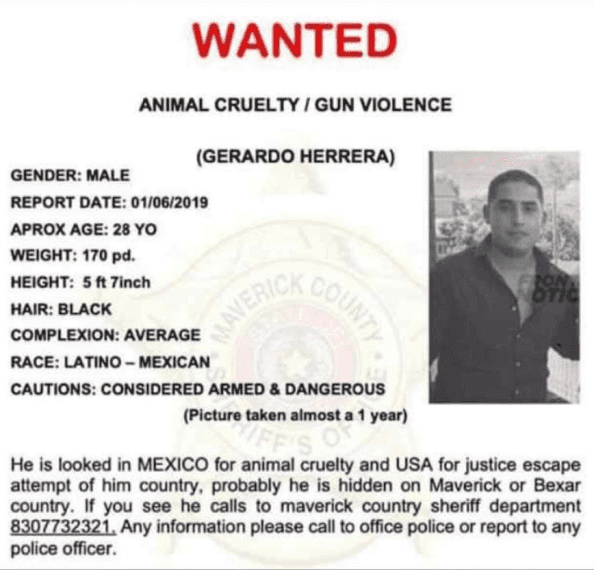 Asesino de perro en Coahuila es identificado y buscado por la justicia
