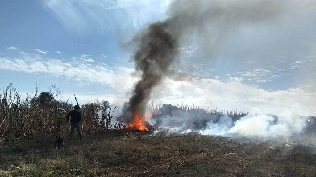 Emite AMLO primer informe sobre accidente aéreo en Puebla