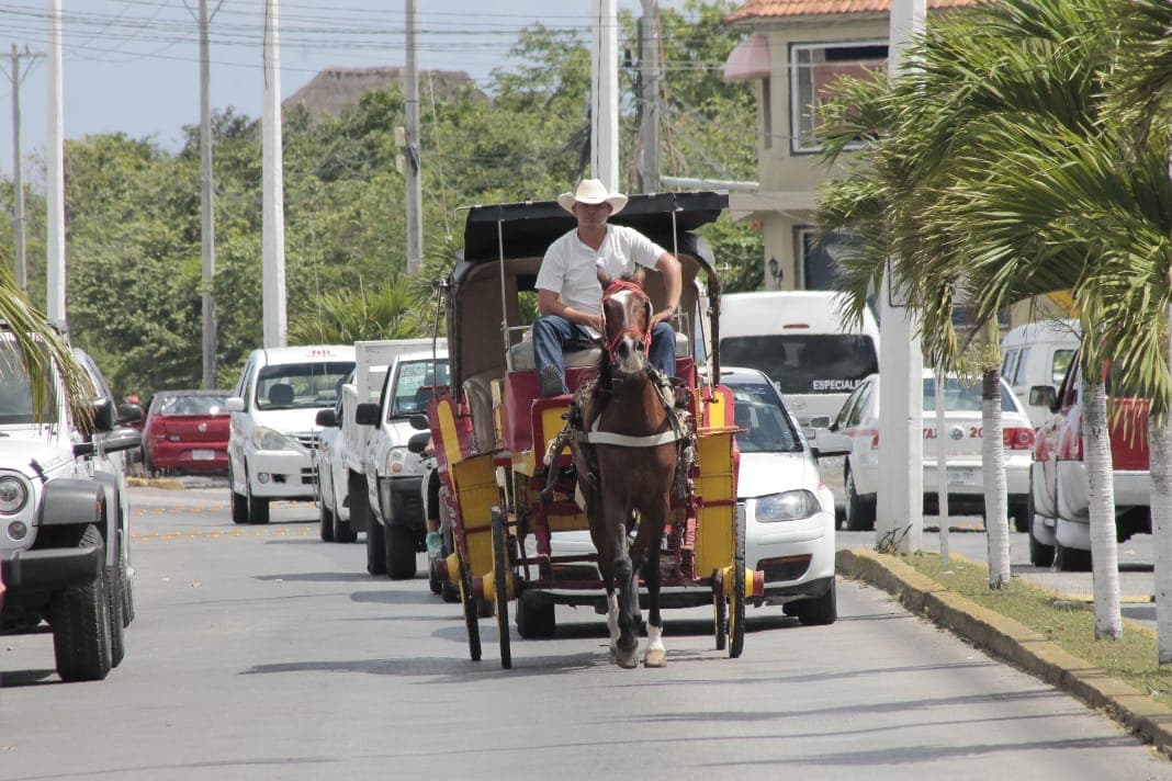 Realizan antidoping sorpresivo a caleseros de Cozumel