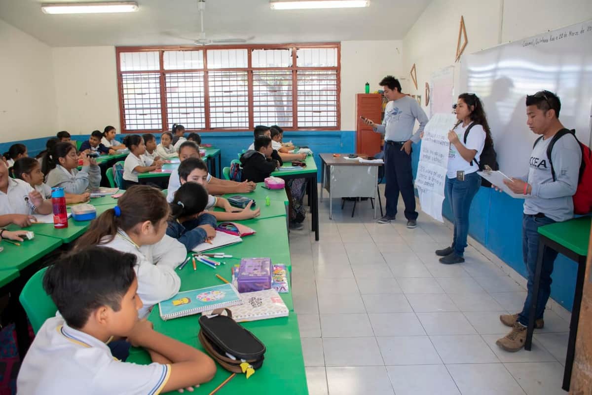 Fundación de Parques y Museos de Cozumel busca a niños interesados por el cuidado del medio ambiente