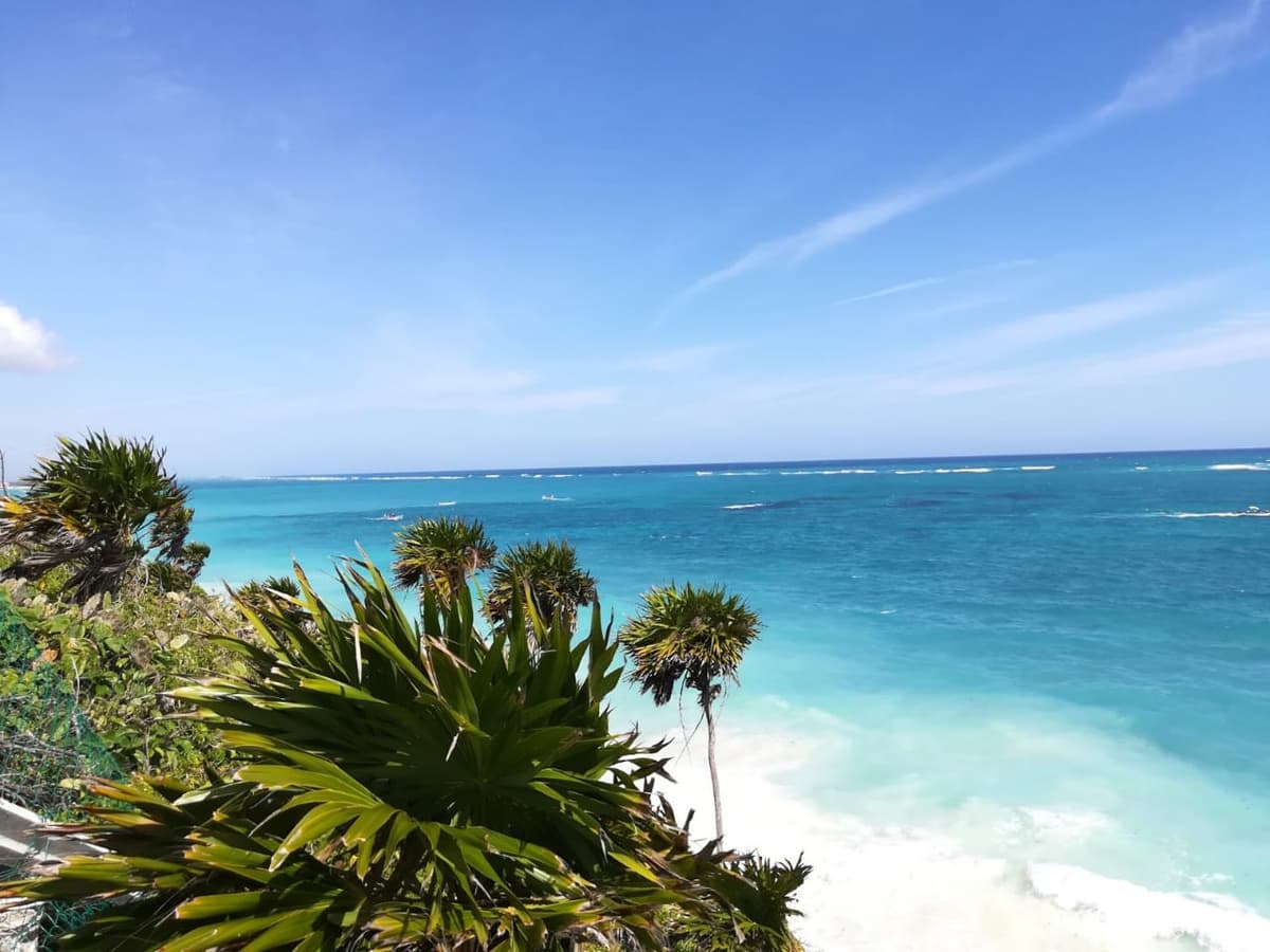 Alta expectativa en llegada de turismo para el 2019 en Tulum