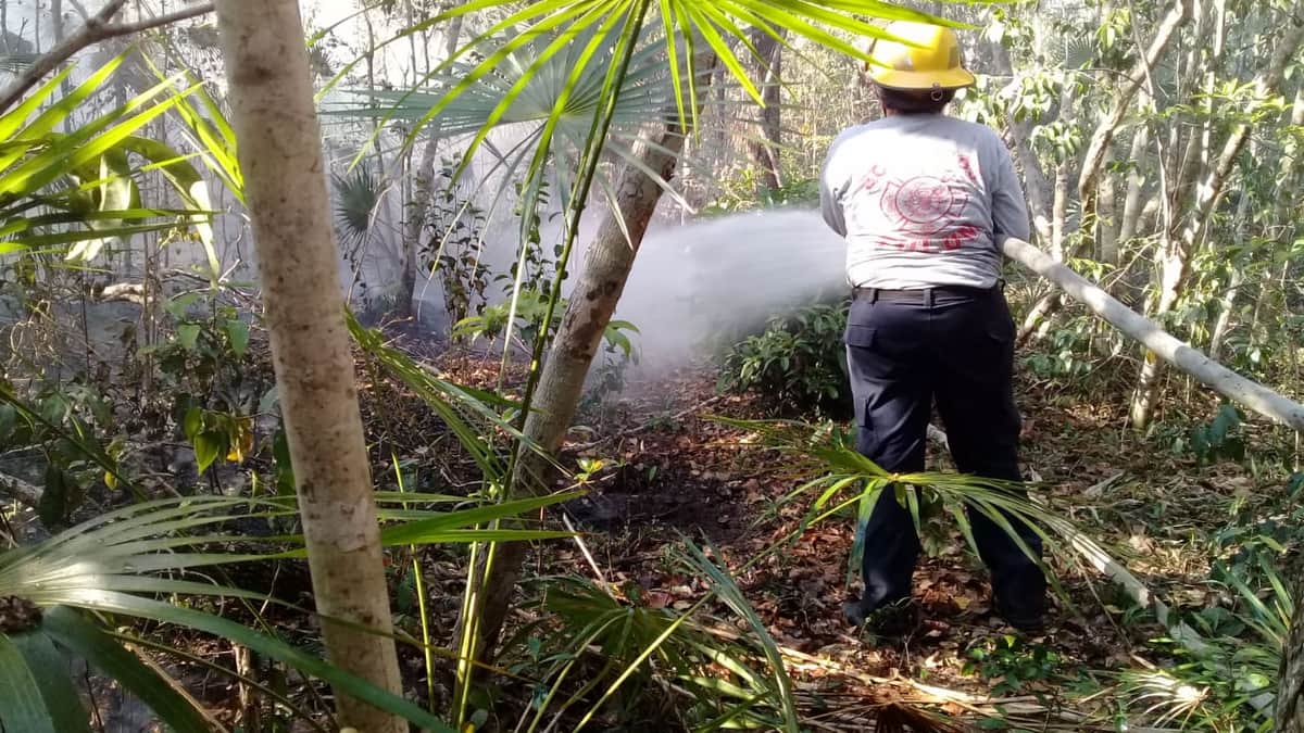 Ocurre primer incendio de temporada en Tulum
