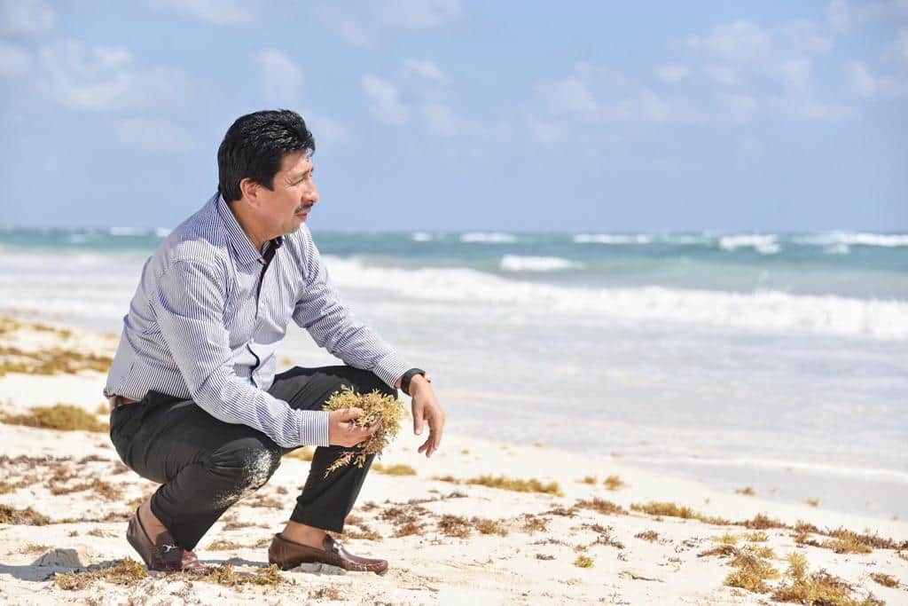 Tulum, en lucha frontal y permanente contra el sargazo