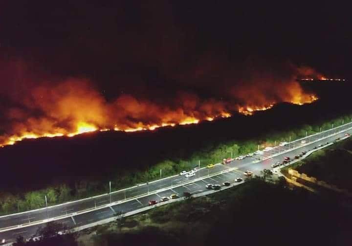 Incendio devora casi 300 hectáreas de reserva ecológica en Campeche