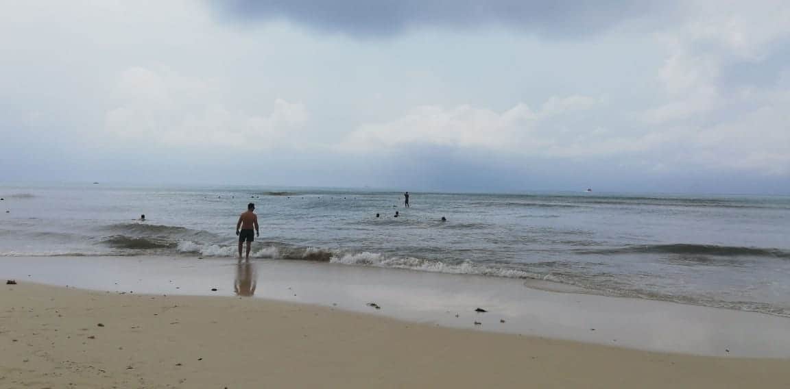 Luego de fuerte recale, Playa del Carmen luce libre de sargazo
