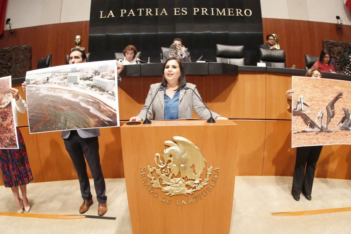 Mayuli Martínez impulsará reforma para combatir el sargazo de forma permanente