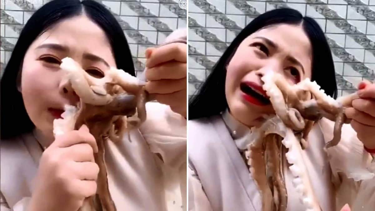 Youtuber intenta comer pulpo vivo y falla en su intento