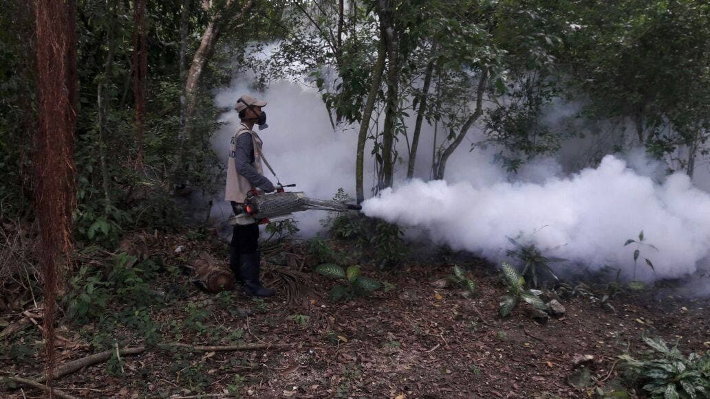 Falta cultura de descacharrización en Cozumel