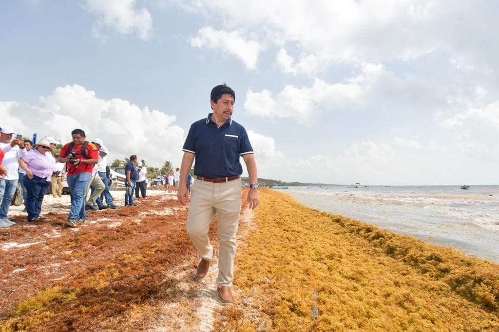 Arranca programa de recolección de sargazo en playas públicas de Tulum