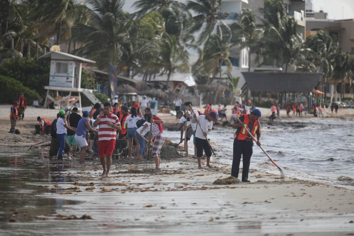 Gobierno de Solidaridad retira 128 toneladas de sargazo durante fin de semana